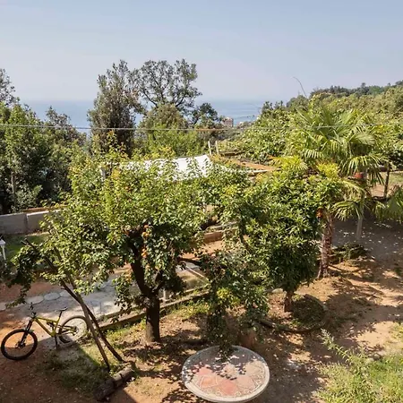 La Brigna Il Bosco Sul Mare Bed & Breakfast