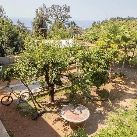 La Brigna Il Bosco Sul Mare Bed & Breakfast *