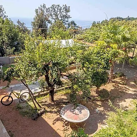 La Brigna Il Bosco Sul Mare *