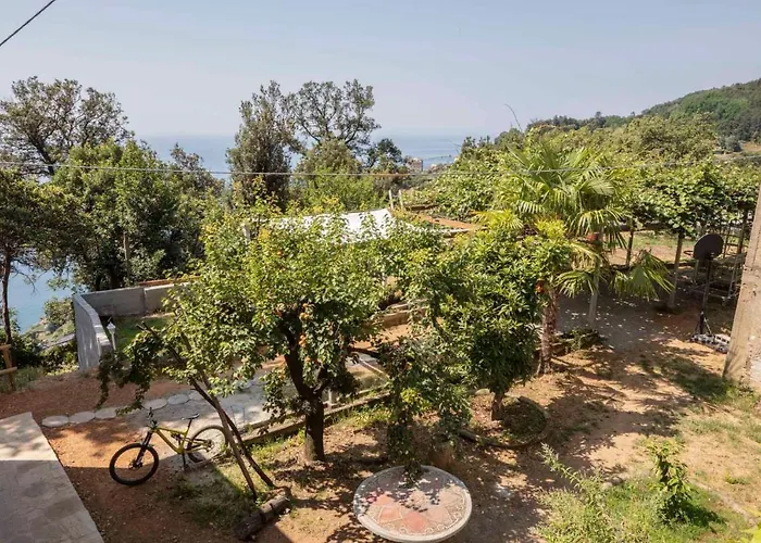 La Brigna Il Bosco Sul Mare Bed & Breakfast